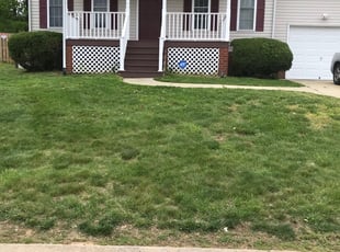 Bush Trimming by Davon Lightfoot for Edgardo M. in Chesterfield, VA