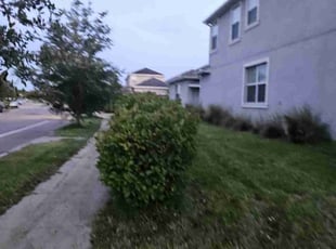 Bush Trimming by Jason Woytowitz for Michael W. in Orlando, FL