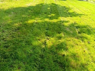Jay H.'s Lawn Care service result