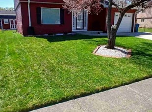 Izabel A.'s Lawn Mowing service result
