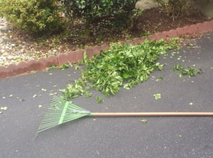 Bush Trimming by Jim Crossett for Meshari A. in Fairfax, VA
