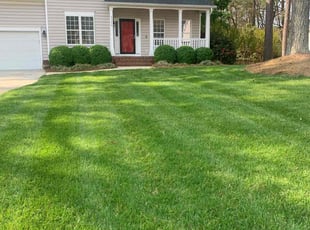 Jean S.'s Lawn Service service result