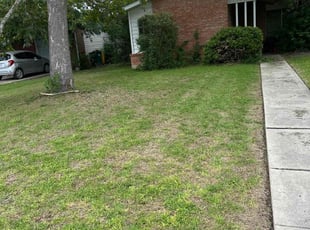 Bush Trimming by Lacy Dixon for Dawn G. in Universal City, TX