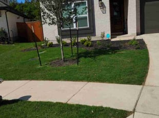 Bradley N.'s Lawn Care service result