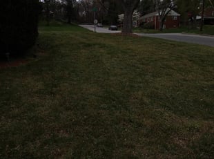 Bush Trimming by Erick Dickerson for Kristi D. in Fort Washington, MD