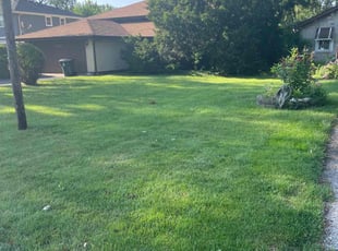 Jeanette M.'s Lawn Mowing service result