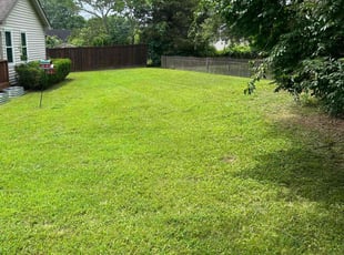 Kathleen S.'s Yard Cutting service result