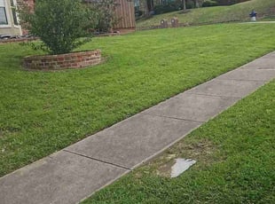 Christopher H.'s Lawn Mowing service result