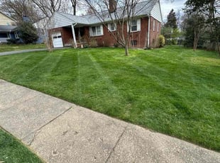 Renee J.'s Lawn Care service result