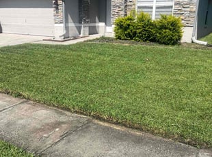 Huston M.'s Lawn Care service result