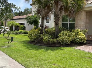 Weeding by Deidra James for Keima C. in Kissimmee, FL