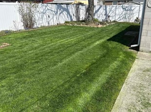 Catherine W.'s Grass Cutting service result