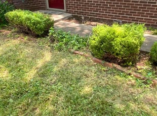Bush Trimming by Clint Aaron for Gabbie L. in Bloomington, IN