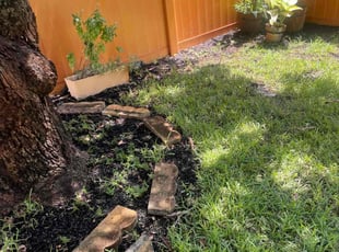 Leaf Removal by Charles Walton for Jason C. in Lake Worth Beach, FL
