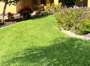 Josh M.'s Lawn Mowing Service service result