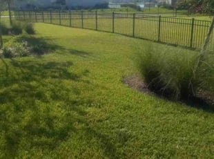 Sam C.'s Lawn Mowing service result