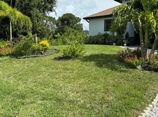 Kori I.'s Lawn Mowing service result