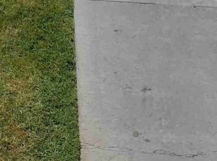 Maurice N.'s Lawn Service service result