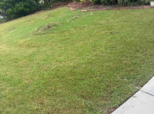 Weeding by Stephen Bickerstaff for Susan F. in Union City, GA