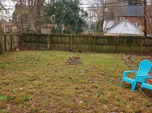 Cleanups by Chris Thomas for Brennan M. in Richmond, VA