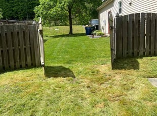 Belita J.'s Lawn Care service result