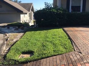 Maureen E.'s Lawn Service service result