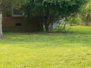 Bush Trimming by Rhodrigous Woodard for Amanda F. in Wilson, NC