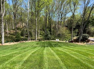 Steven B.'s Lawn Mowing Service service result