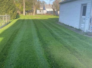 SHARON G.'s Grass Cutting service result