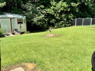 Raymond S.'s Lawn Mowing service result