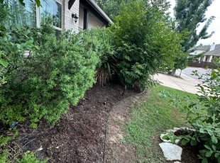 Weeding by Juan Salazar for Neta I. in Cedar Park, TX