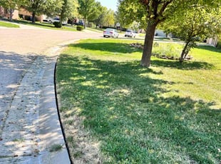 Laura S.'s Lawn Mowing Service service result
