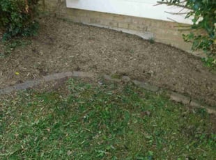 Weeding by Crystal Hathaway for William A. in Bel Air, MD