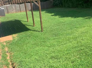 Pat w.'s Grass Cutting service result