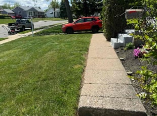 Louie D.'s Grass Cutting service result