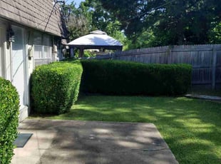 Bush Trimming by Demetrius Curry for Larry G. in Tulsa, OK