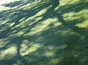 James M.'s Lawn Service service result