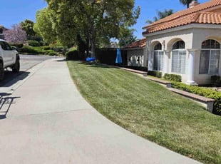 Terry H.'s Yard Cutting service result