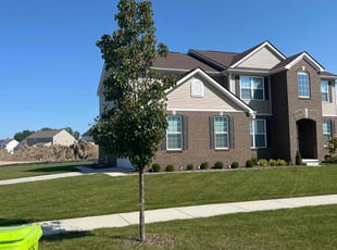 Jeffrey T.'s Grass Cutting service result