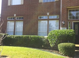 Bush Trimming by Alan Stone for Uma G. in Irving, TX