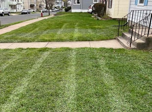 Lance T.'s Lawn Maintenance service result
