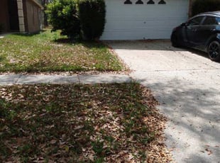 Bush Trimming by Nathaniel Deshun Walker for Robin B. in Riverview, FL