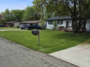 Vivian G.'s Grass Cutting service result