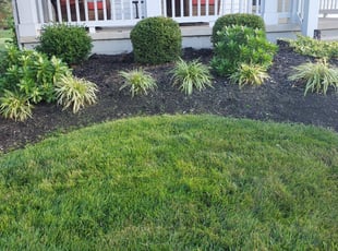 Weeding by Edward Mauler for Nancy L H. in Westerville, OH