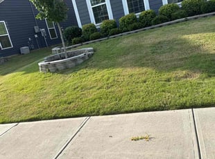 Bush Trimming by Claude Batts for TJ B. in Concord, NC