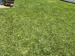 Raina R.'s Lawn Maintenance service result