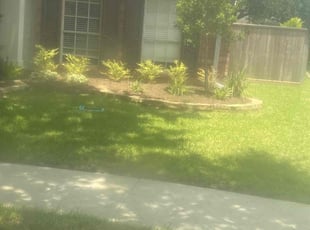 Mulching by Rene Contreras for Maura W. in Missouri City, TX