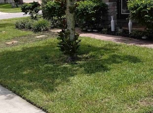 JOSHUA S.'s Lawn Service service result