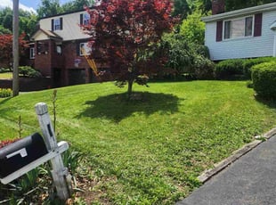 Tom V.'s Yard Cutting service result