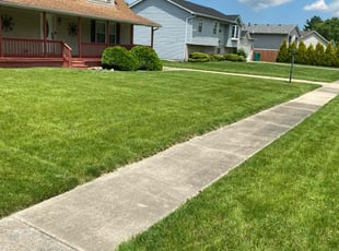 Caressa E.'s Lawn Mowing Service service result